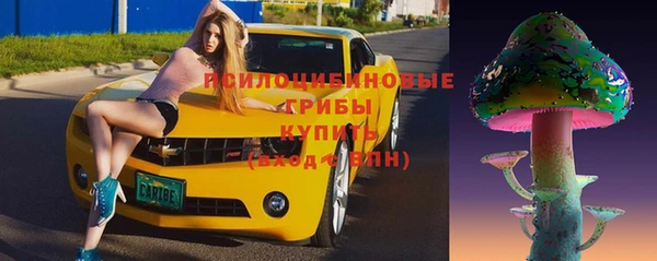 шишки Балахна