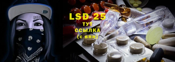 индика Михайлов