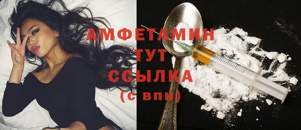 шишки Балахна