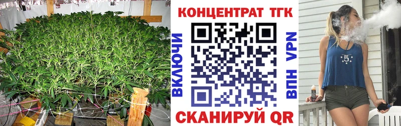 ТГК Wax Мамадыш