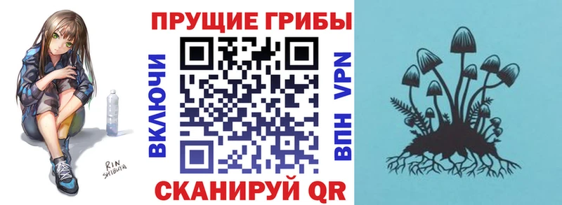 где продают наркотики  Мамадыш  Галлюциногенные грибы мухоморы 
