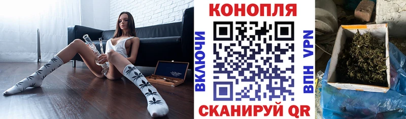 Каннабис гибрид  закладка  Мамадыш 